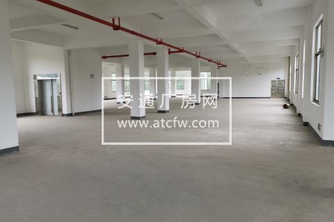 萧山浦阳镇 5000平多层厂房 带货梯可分割高性价比出租