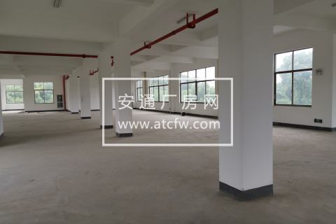 萧山浦阳镇 5000平多层厂房 带货梯可分割高性价比出租