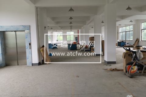 萧山浦阳镇 5000平多层厂房 带货梯可分割高性价比出租