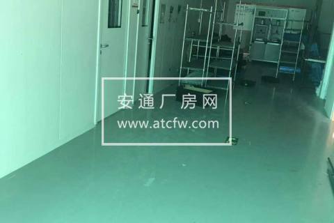 厂房、办公楼出租