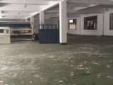 出租余杭区仓前工业园3600方楼上标准厂房