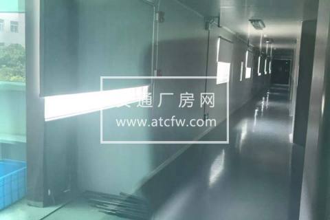 厂房、办公楼出租