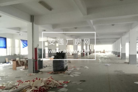 萧山三桥下机场高速800方厂房出租