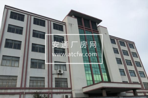 萧山区江东五路3600方厂房出租