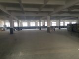 萧山区新街街道6000方带行车全底层厂房可分租