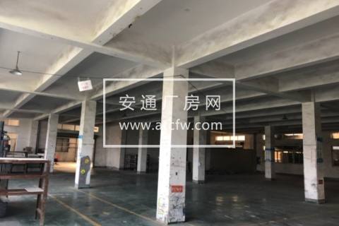 东洲底层1000方厂房出租