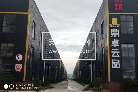 其他区成雅工业园区1800方厂房出售