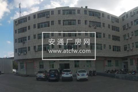《出租/出售》南安柳城开发区