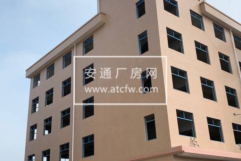 新建混凝土框架厂房出租