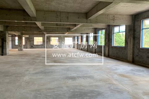 新建混凝土框架厂房出租