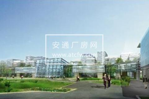 张江集电港科技企业云集，产业氛围浓厚，人才荟萃