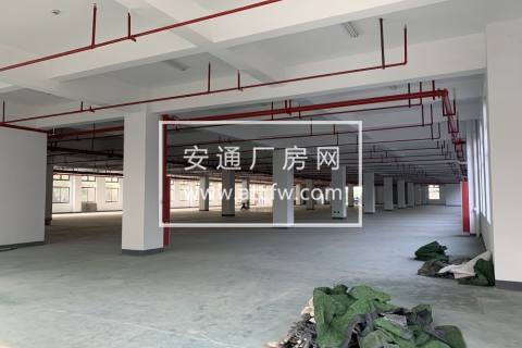 出租东湖街道13000方多层标准厂房