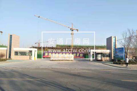 东营利津全新厂办一体钢结构厂房出租 高9米高标准厂房