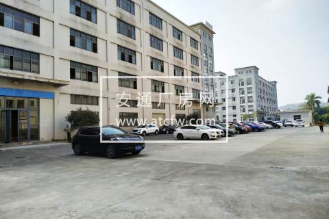 广州南沙独栋厂房出售，产权清晰，形象好。