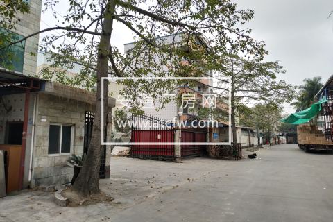 番禺独栋厂房5000平出售，产权清晰，有红本。