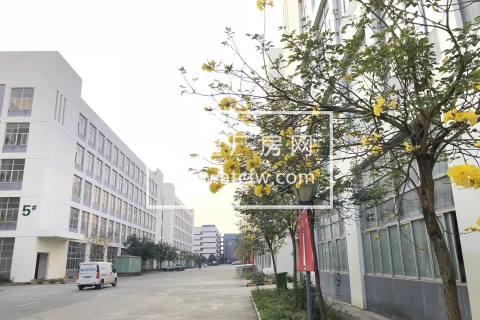 南宁市国家级东盟经济技术开发区标准厂房砖混钢结构厂房1000~10000平方出租