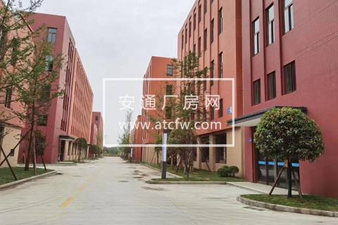 成都医学城 现房租售 政策优厚