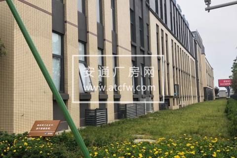 天府新区/龙泉/高新区域新厂房出租，1000平起租可申请补贴