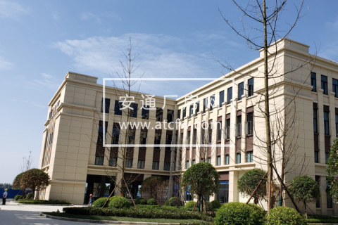 政府支持项目厂房出租，电子信息、智能制造、高端装备首选地