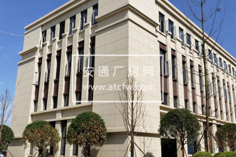 政府支持项目厂房出租，电子信息、智能制造、高端装备首选地