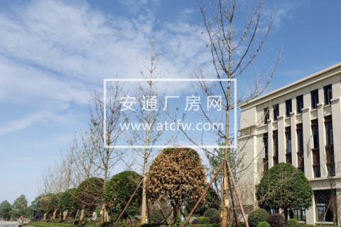 天府新区新建厂房，1200起租零公摊，办公研发生产