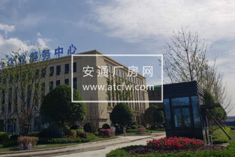 政府支持项目厂房出租，电子信息、智能制造、高端装备首选地