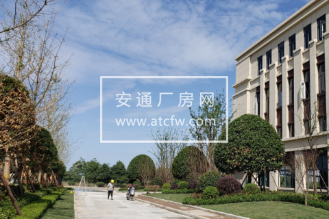 高新区天府新区科技园区招商，可生产办公研发，可按揭600平起