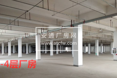 安徽芜湖德尔科技产业园全新框架结构厂房出租