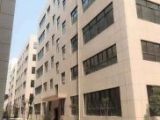 出售1000平全新工业厂房