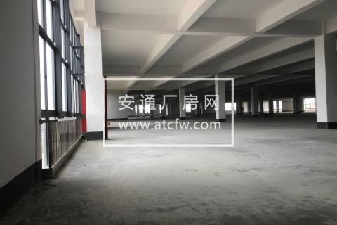 出租衙前3楼8000方标准厂房层高5米