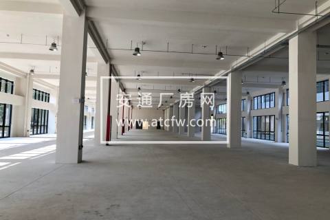 松江新城沿街位置全新独栋厂房2万平米近有轨电车可分割形象佳