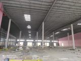 江苏国药科技城 单层钢结构层高12米厂房出售