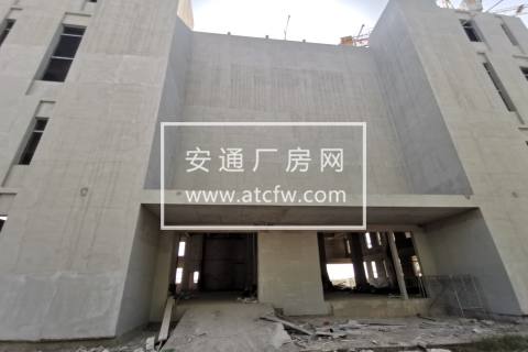 江苏国药科技城 单层钢结构层高12米厂房出售