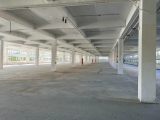 出租临平工业区独栋6000方厂房