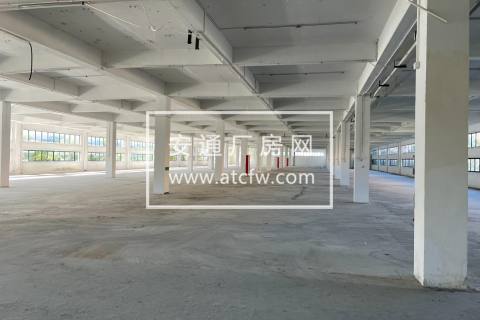 出租临平工业区独栋6000方厂房