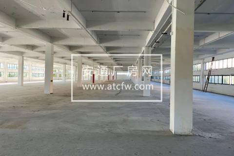 出租临平工业区独栋6000方厂房