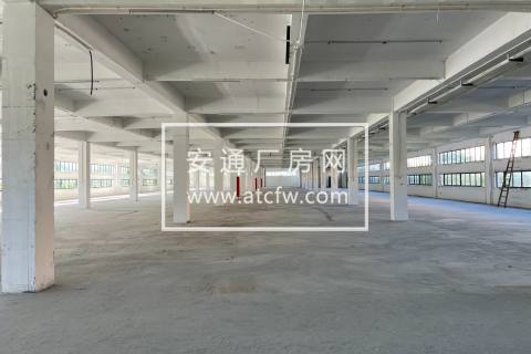 出租临平工业区独栋6000方厂房