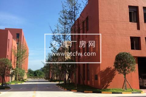 主城区全新厂房出售可按揭有产权