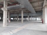 钱塘区2000~8000空闲厂房出租