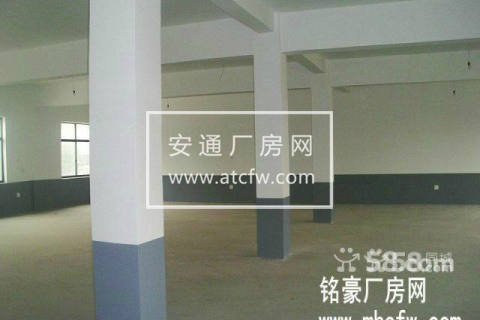 仁和新桥3楼4楼每层280方（共560方）出租