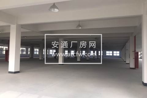 青山湖3楼1030方标准厂房