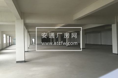 出租仁和云会1楼1170方厂房