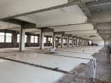 出租余杭开发区单层5000方厂房
