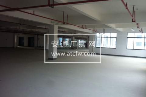 出租仁和3楼1000方、5楼2300方、5楼1600方标准厂房