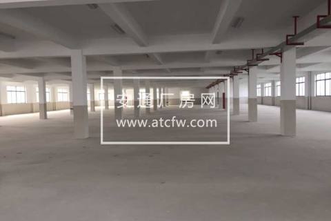出租塘栖工业园3楼1000方标准厂房