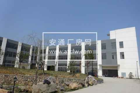 仁和2000方标准厂房