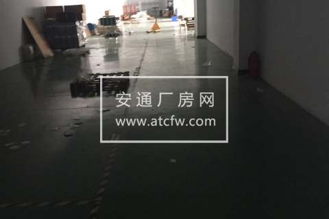 出租 仓前街道2000方厂房+1000方办公室