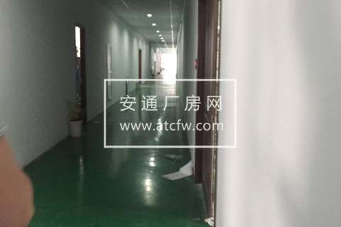 出租 仓前街道2000方厂房+1000方办公室