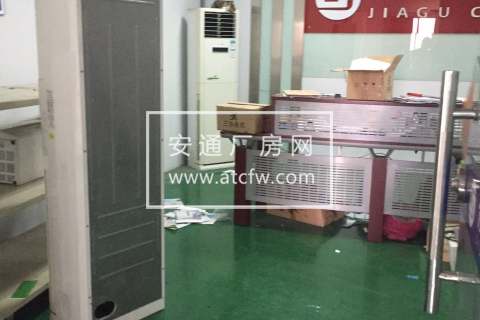 出租 仓前街道2000方厂房+1000方办公室