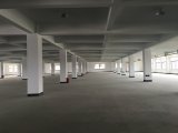 余杭开发区3楼2500方，2楼800方